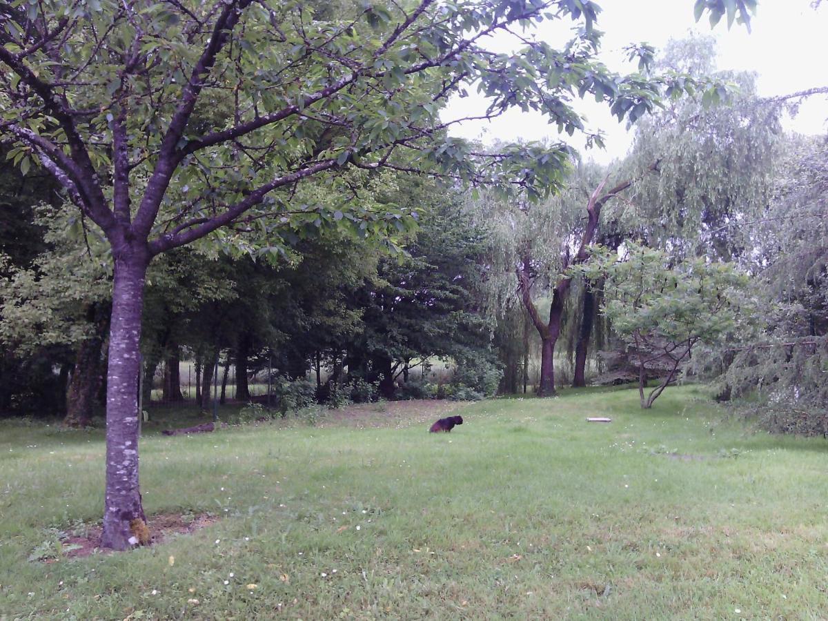 Chambre Independante Dans Un Parc Saint-Roch Zewnętrze zdjęcie